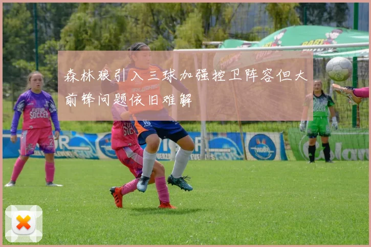 森林狼引入三球加强控卫阵容但大前锋问题依旧难解
